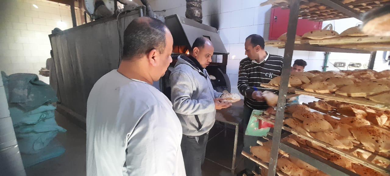 ضبط 176 مخالفة تموينية بالمنيا ومصادرة 900 قطعة ألعاب نارية
