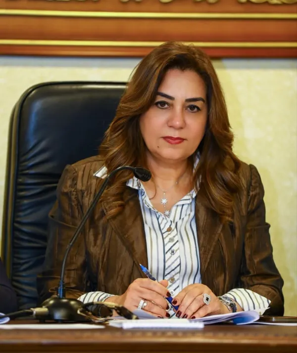 التنمية المحلية  بدء تنفيذ نموذج تجريبي للتصدي للبناء المخالف بالمنيا
