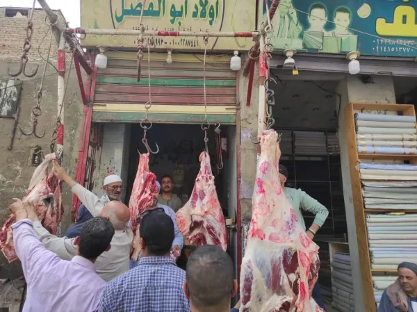 تحرير 136محضر في حملات تموينية مكثفة بالمنيا