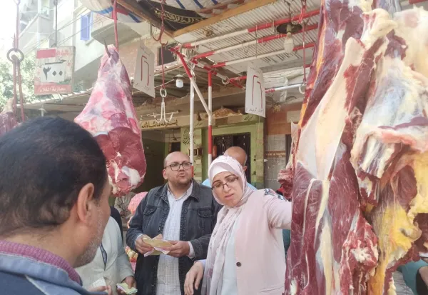 بيطري المنيا : ذبح 8807 رؤوس ماشية وضبط 3 أطنان لحوم غير صالحة
