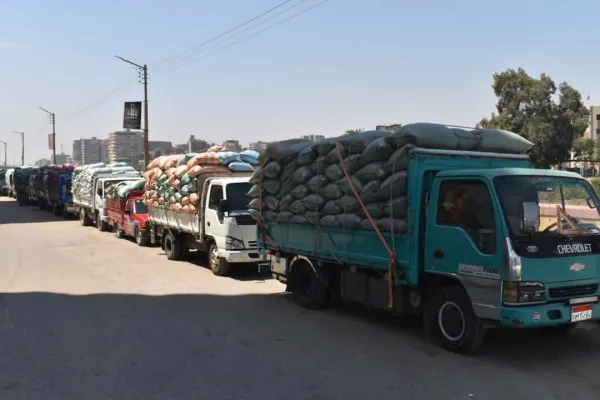 شون وصوامع المنيا تستقبل 3877 طناً من محصول القمح