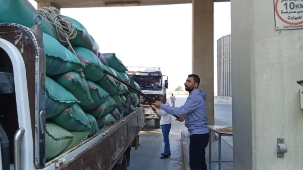 شون وصوامع المنيا تستقبل 21038 طن قمح