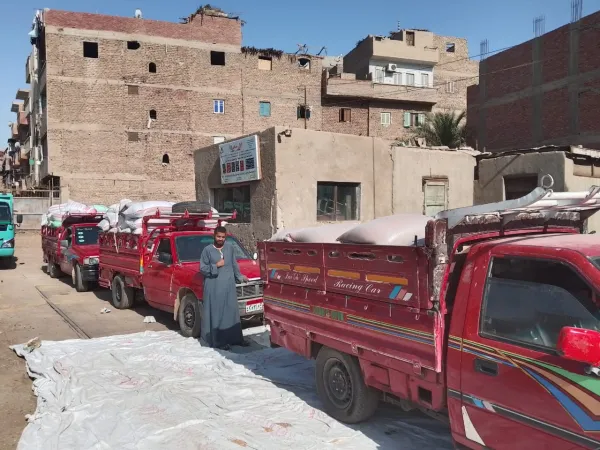 توريد 68 ألف طن قمح لشون وصوامع المنيا
