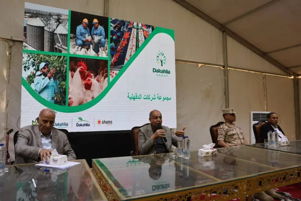 تنتج 20% من الناتج المحلي.. محافظ المنيا: مزرعة دواجن العناني نموذجا ناجحًا لمشروعات الإنتاج