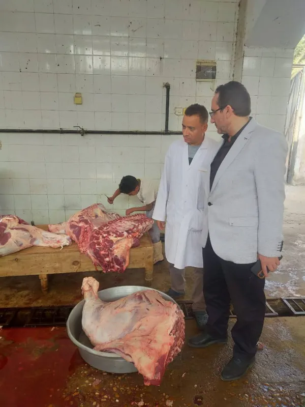 بيطري المنيا: ذبح 870 رأس ماشية مجاناً في أول يومين بعيد الأضحى