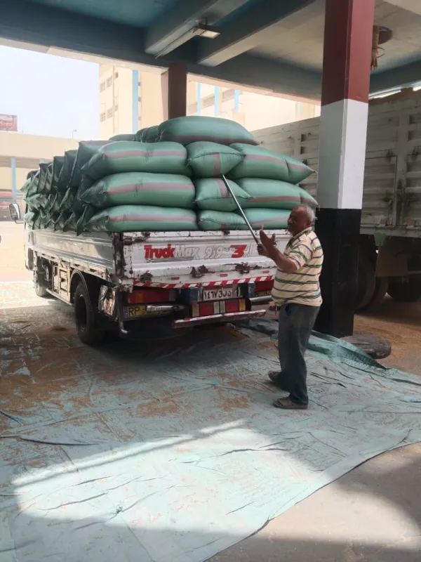 خير أراضينا.. توريد القمح يصل لـ 506 آلاف طن بصوامع المنيا