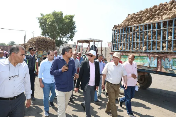 الطريق إلى السكر.. مصانع أبو قرقاص تتسلم مليون طن بنجر