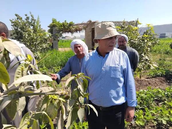 جولات ميدانية لمتابعة المحاصيل الصيفية بقرى المنيا