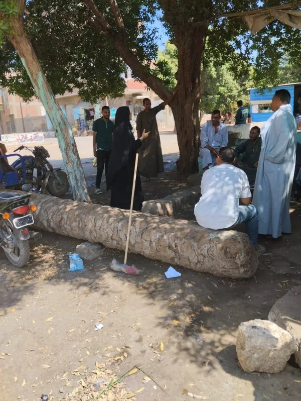 قعدة على جذوع النخيل.. نقاشات لمزارعي بني مزار ضد الحمى القلاعية