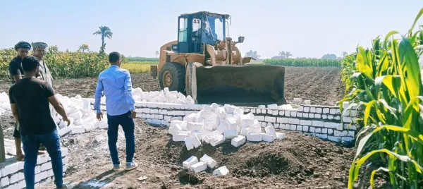 بعد نهايتها .. 6258 حصيلة الموجه الـ26 لإزالة التعديات على أراضي المنيا