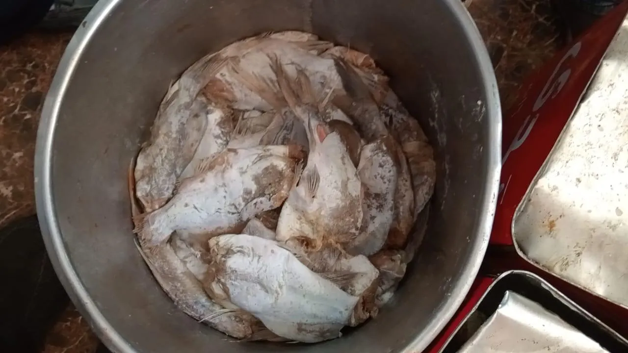 مرفق 1021
