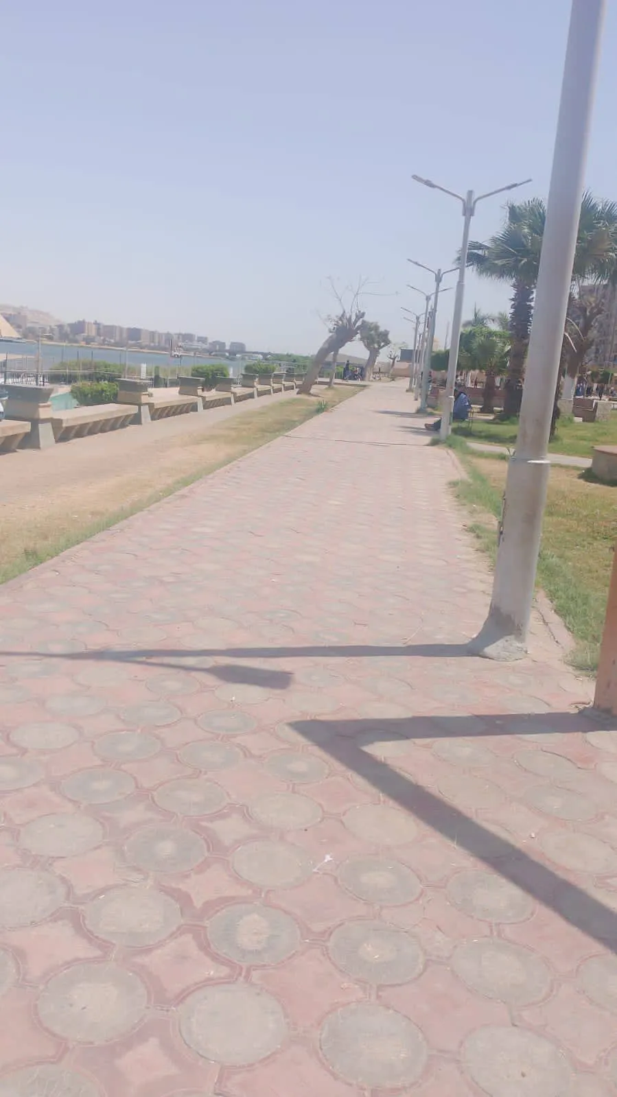 مرفق 1119