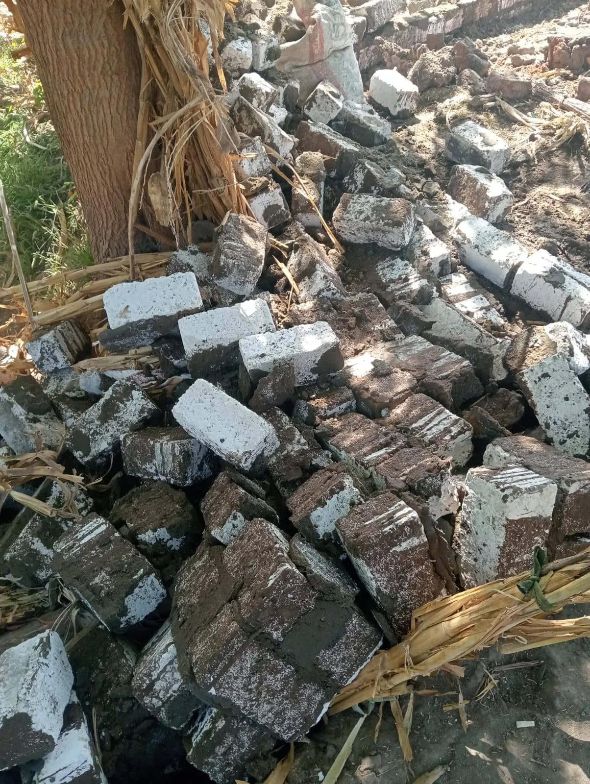مرفق 1209