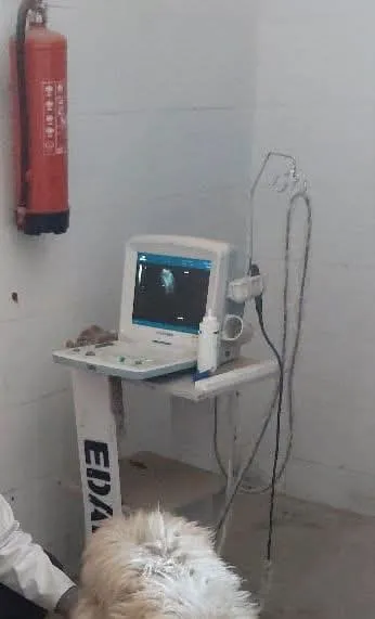 مرفق 1387