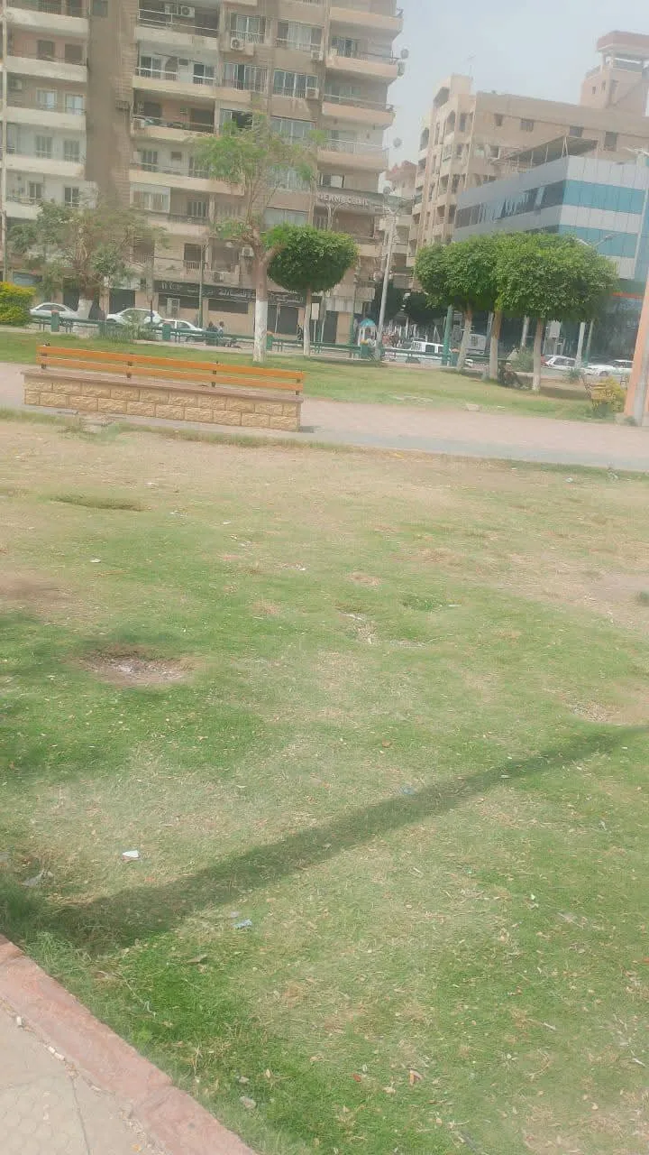 مرفق 1951