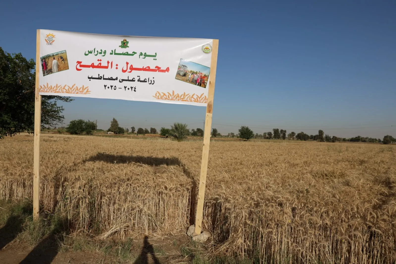 مرفق 2399