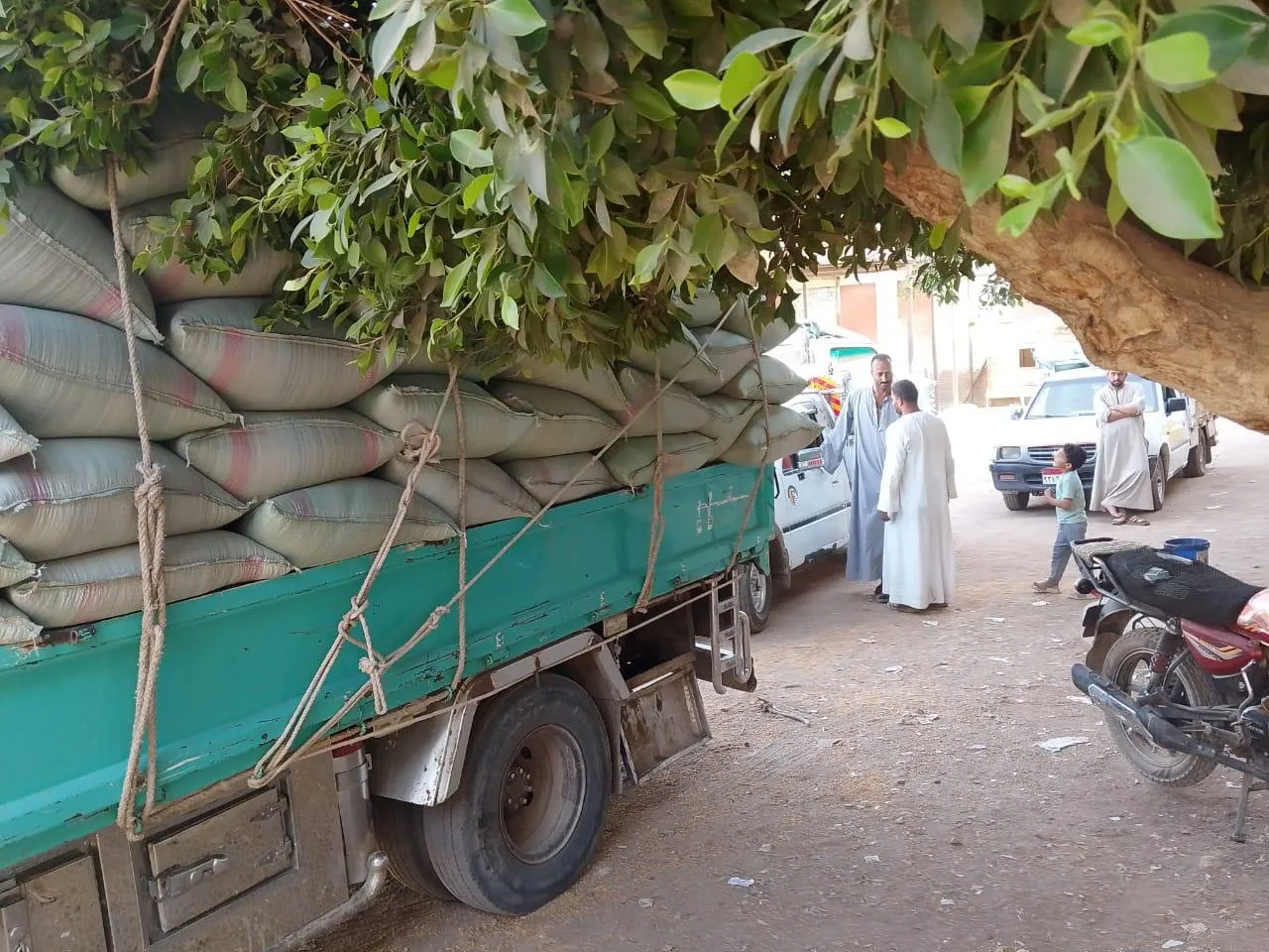مرفق 2551