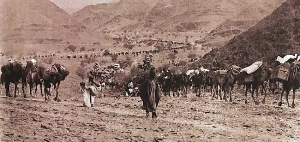 مرفق 2997