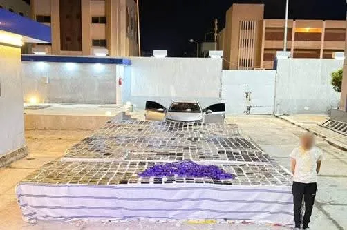 مرفق 3213
