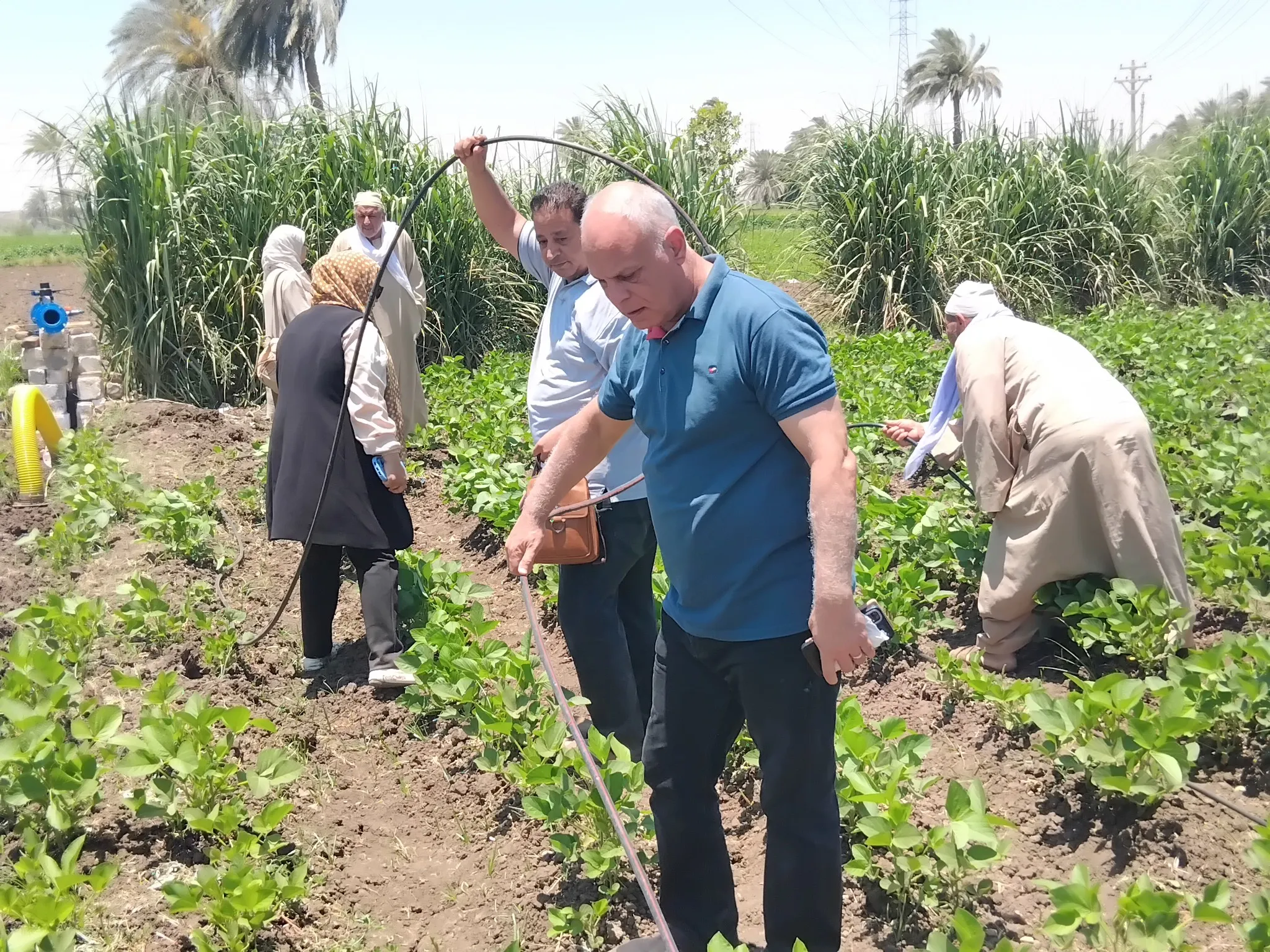 مرفق 3499