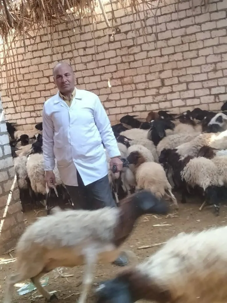 مرفق 3617