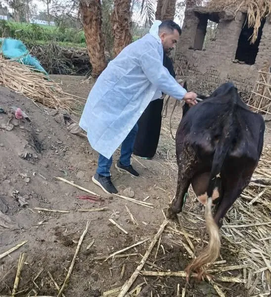 مرفق 3618